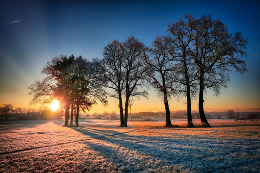 Struggling with Chills or Poor Circulation? Try Natural Heat Therapy That Lasts